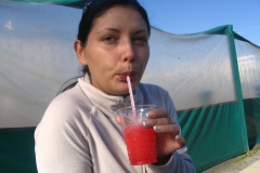 Брайтън 2008 8