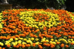 Бъртън 2008 29